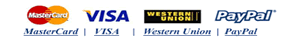www.blingcharmsbeads.com Accepted Credit Cards, VISA MasterCard Western Union